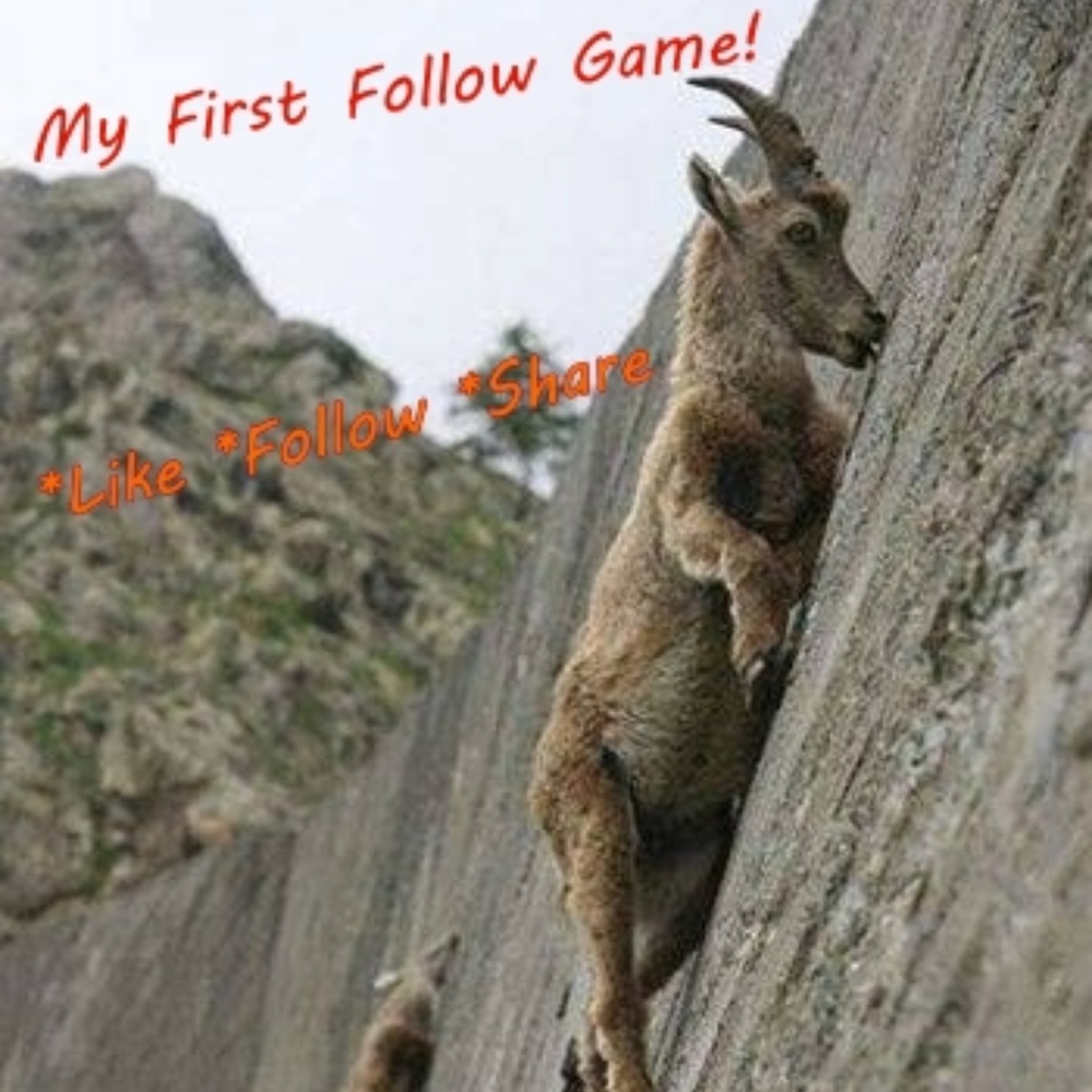 Can't follow this goat, so follow me! - Picture 1 of 1